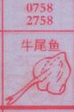 梦到牛尾鱼对应的排列五号码图示