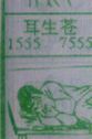 梦到耳生疮对应的排列五号码图示