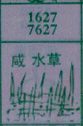 梦到咸水草对应的排列五号码图示