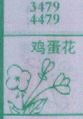 梦到鸡蛋花对应的排列五号码图示