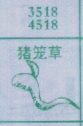 梦到猪笼草对应的排列五号码图示