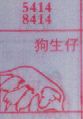 梦到狗生仔对应的排列五号码图示