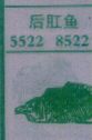 梦到后肛鱼对应的排列五号码图示