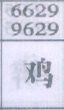梦到鸡对应的排列五号码图示